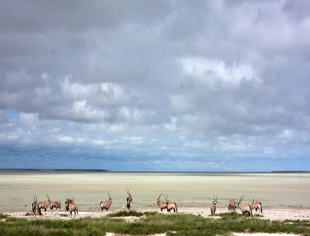 Mokuti Etosha Villa Namutoni Eksteriør billede