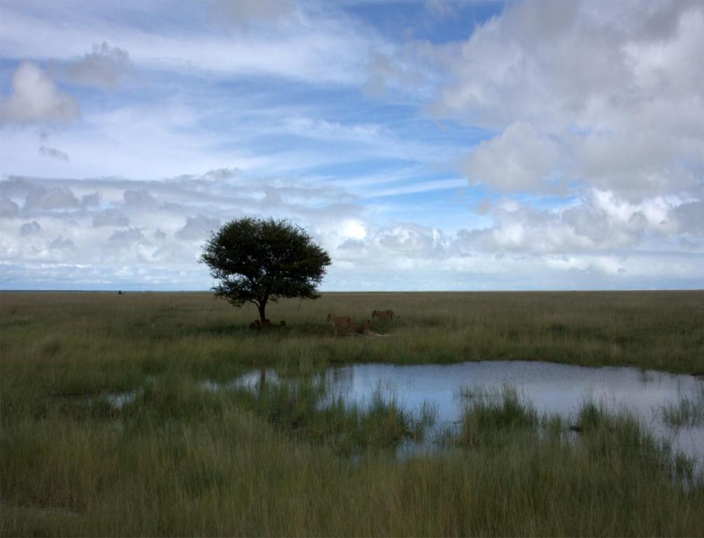Mokuti Etosha Villa Namutoni Eksteriør billede
